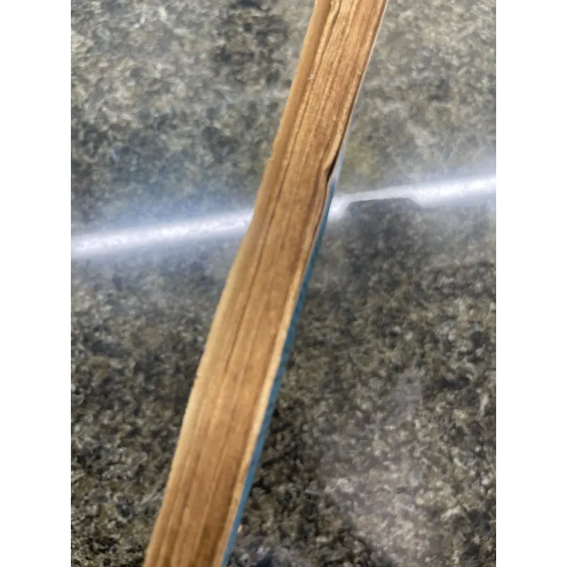 Cái bang thời đại Tham Lang 713328