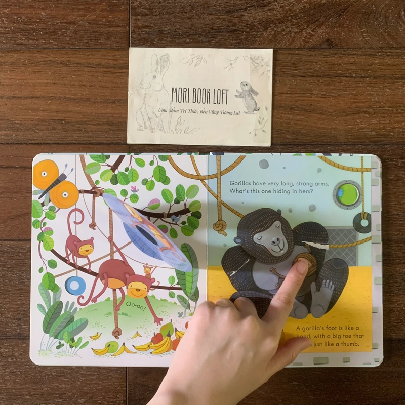 Sách ngoại văn Peep Inside The Zoo – M.ấ.t flap trang 5, Used 540736