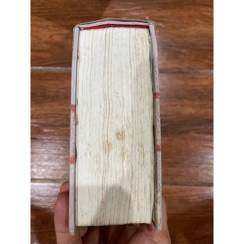 Hiệp Sĩ SAINTE HERMINE - Alexandre Dumas (7) 525473