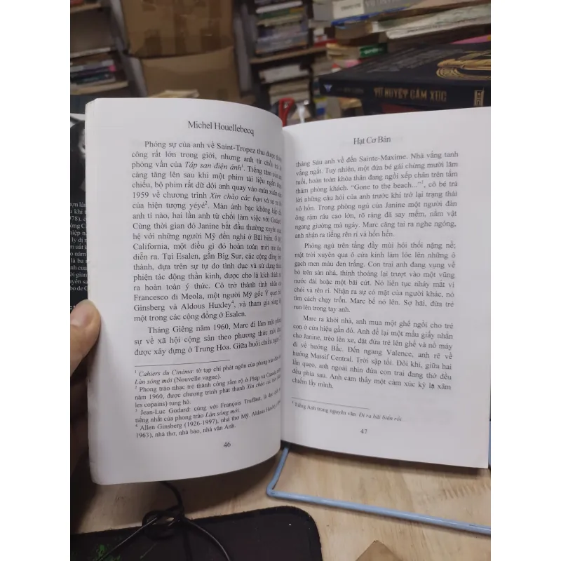 Sách: Hạt cơ bản (Tiếu thuyết) - TG: Michel Houellebecq (A2) 994305