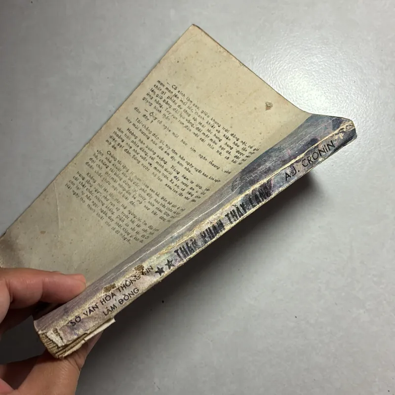 Thân phận thầy lang 736542