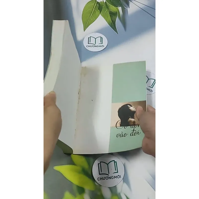 Cô đơn vào đời - Dịch Phấn Hàn 694970