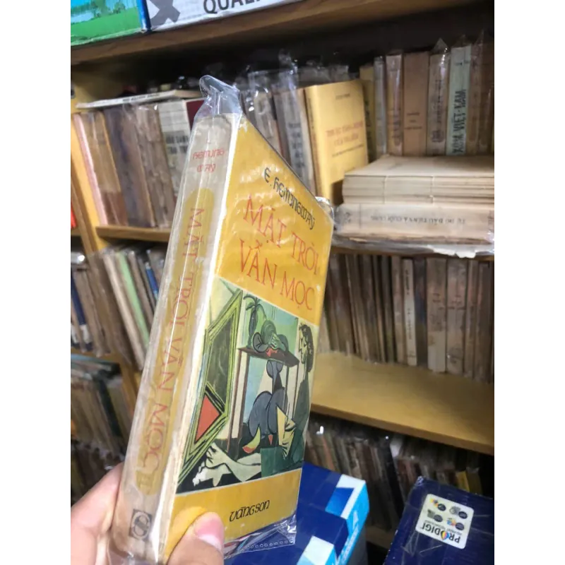 Mặt trời vẫn mọc - Ernest Hemingway - Văn học cổ điển/Tiểu thuyết 796939