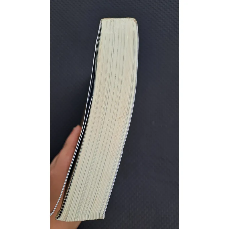 Dấu chân trên cát - Nguyên Phong 739437