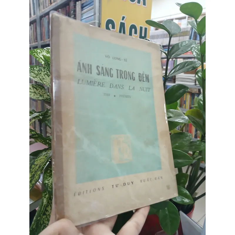 ÁNH SÁNG TRONG ĐÊM - VÕ LONG TÊ 752874