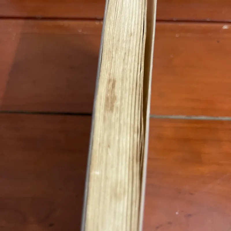 Lệ Mai Lý Lan 1005217