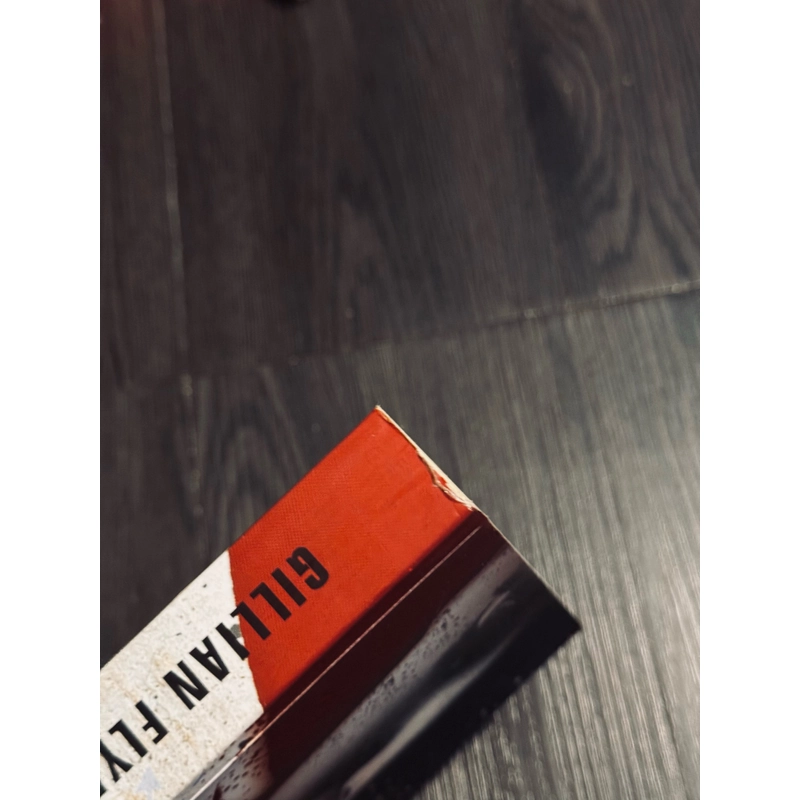 Gone girl cô gái mất tích 502146