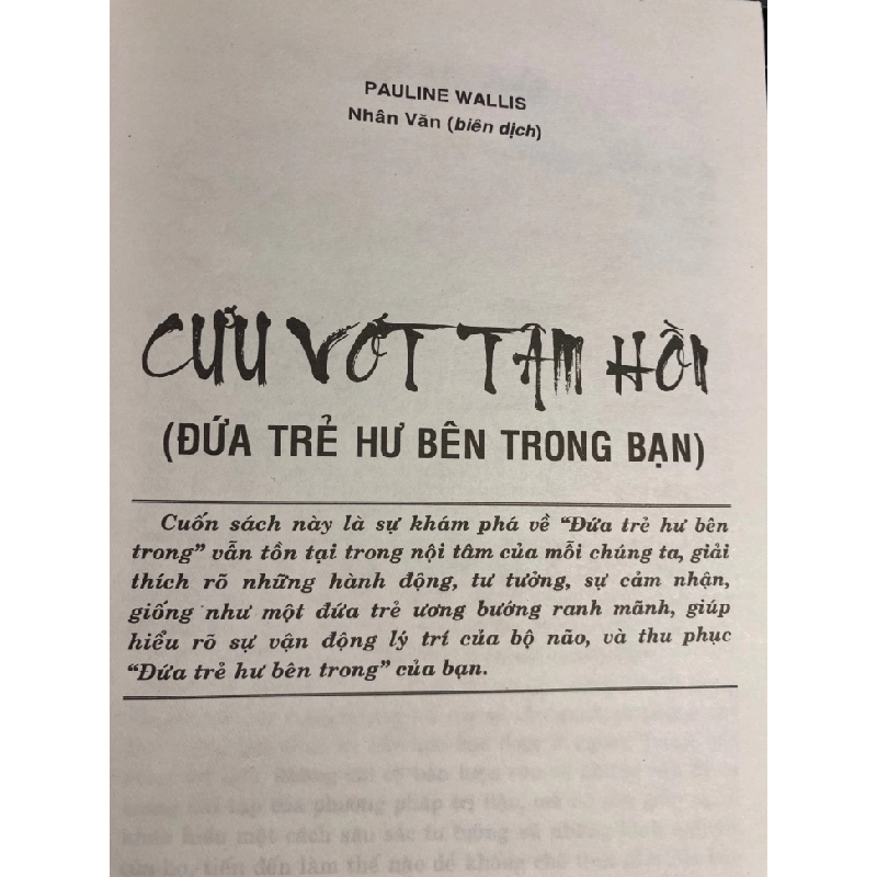 Cứu Vớt Tâm Hồn ( Đứa trẻ hư bên trong bạn)- Pauline Wallis- Sách lưu kho mới 95% 408312