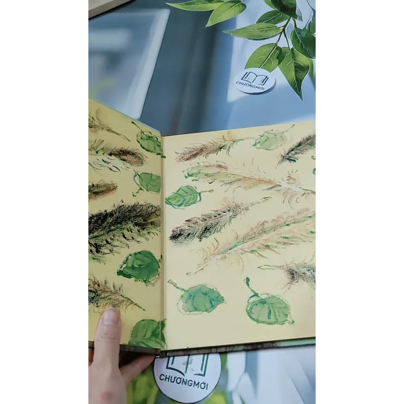 [Tặng nẹp góc] Truyện thiếu nhi Hàn Quốc: Moyamo Anu 48 -  모야모 아누와: 울어요 울어, 공주님 732050