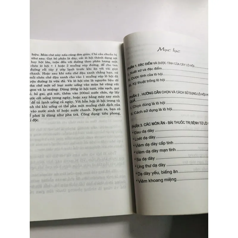 LÔ HỘI TRỊ BÁCH BỆNH  749119