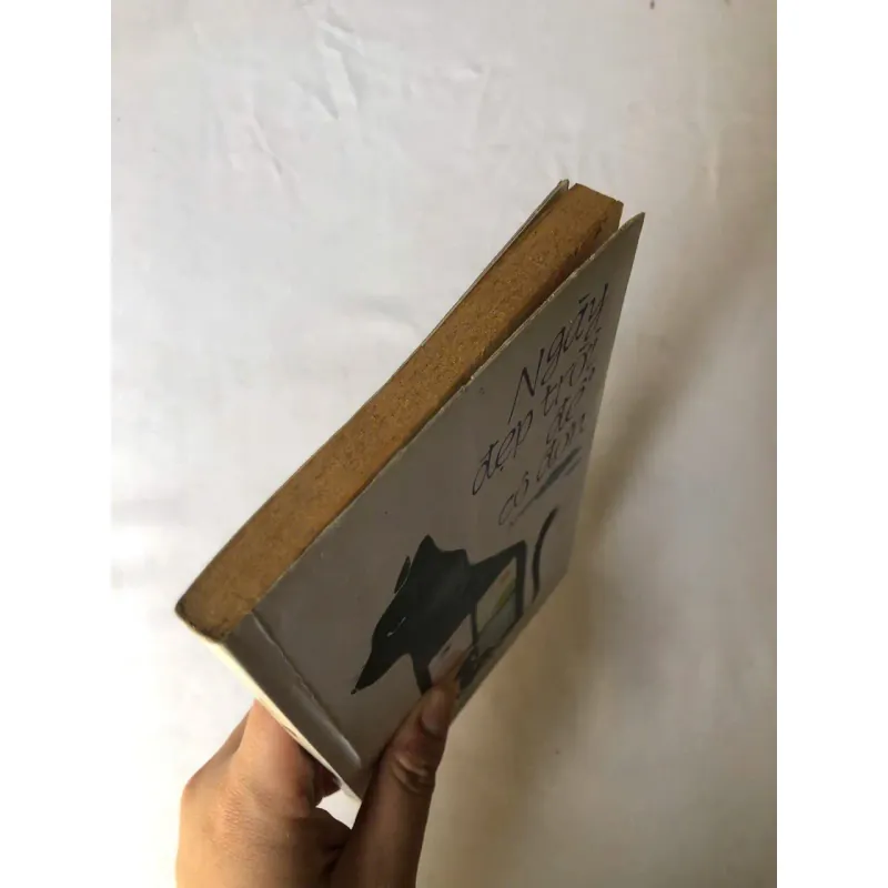 Ngày Đẹp Trời Để Cô Đơn - Aoyama Nanae 926829