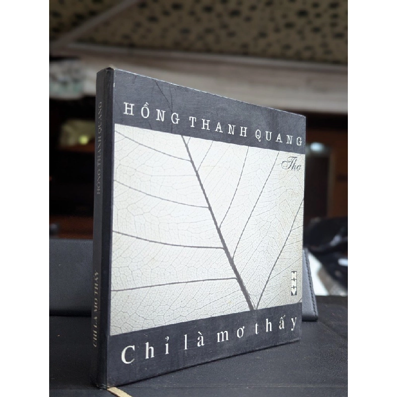 Chỉ là mơ thấy - Hồng Thanh Quang 450188