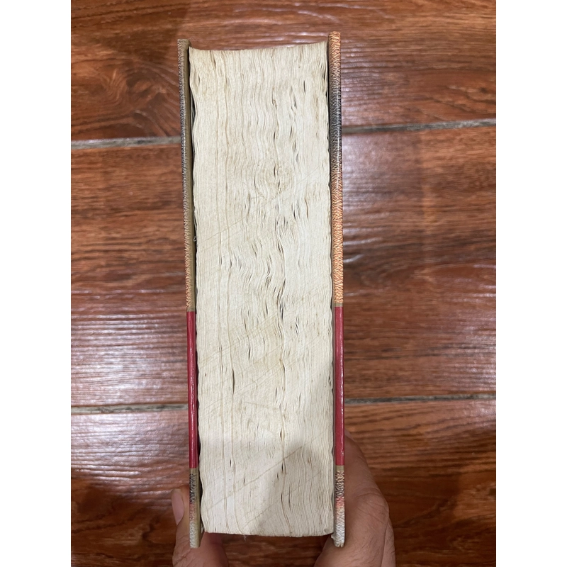 Hiệp Sĩ SAINTE HERMINE - Alexandre Dumas (7) 525473