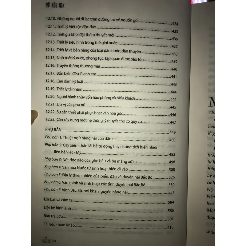 Văn hoá nước và hàng Hải thời cổ của Việt Nam  747791