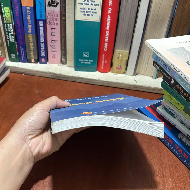 II Tiểu Thuyết: Mạch Ngầm - Nguyễn Văn Cự - 2016 786216