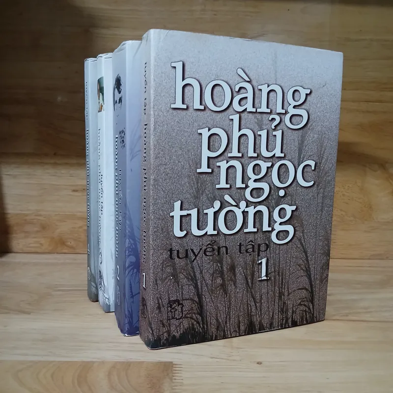 Tuyển Tập Hoàng Phủ Ngọc Tường (Bộ 4 Tập) - Trần Thức tuyển chọn 559461