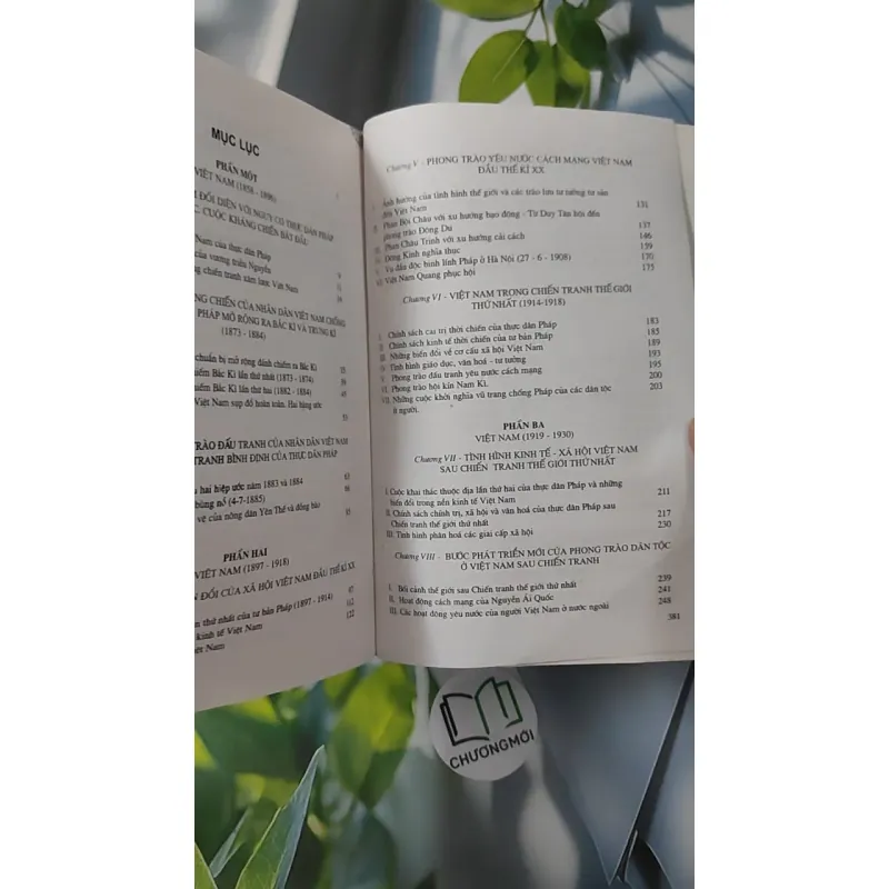 Đại Cương Lịch Sử Việt Nam 2 - Đinh Xuân Lâm 970272
