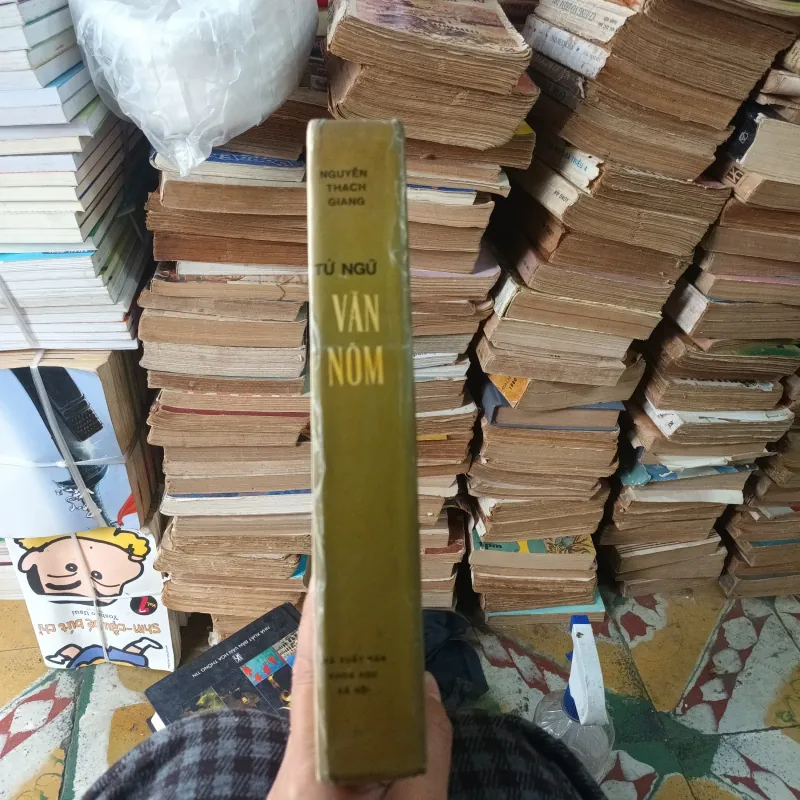 Từ Ngữ Văn Nôm - Nguyễn Thạch Giang 781775