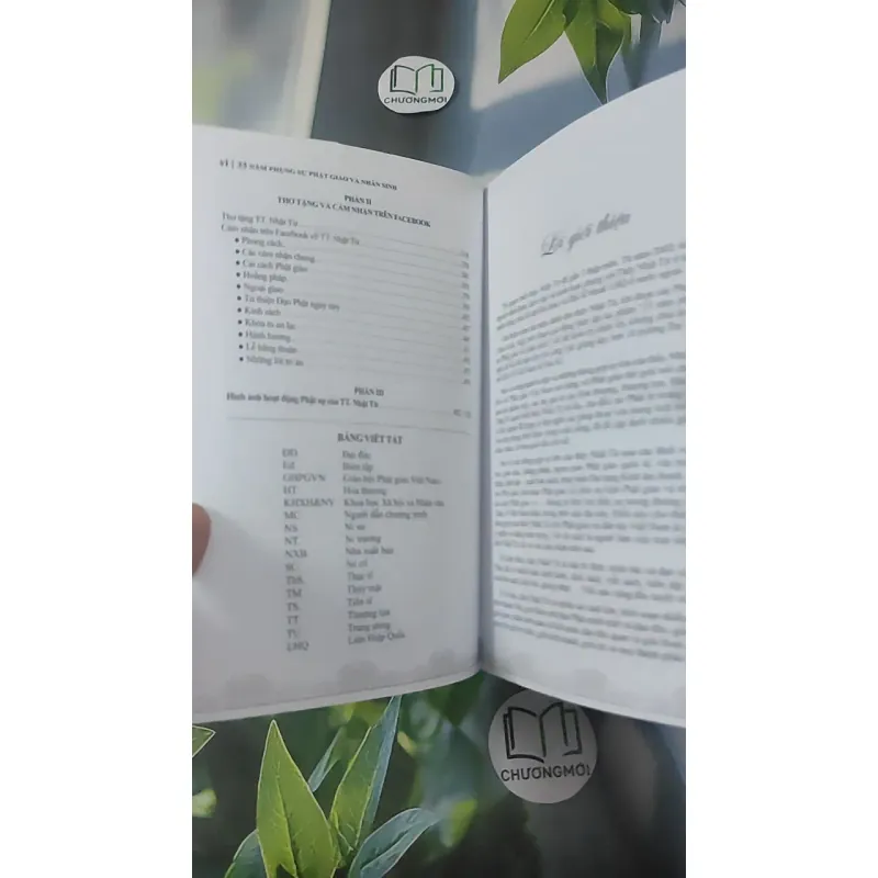 33 Năm Phụng Sự Phật Giáo Và Nhân Sinh 1018912