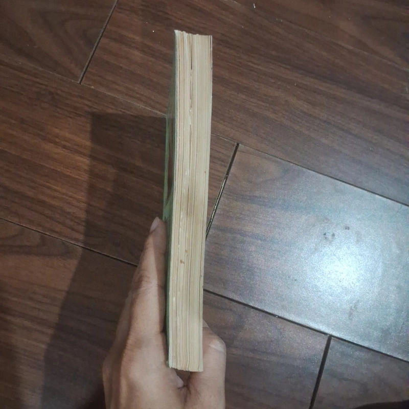 Thi nhân việt nam 523246