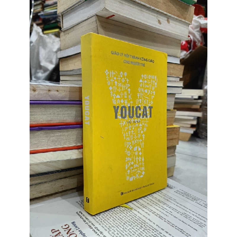 Youcat Việt Nam 381382
