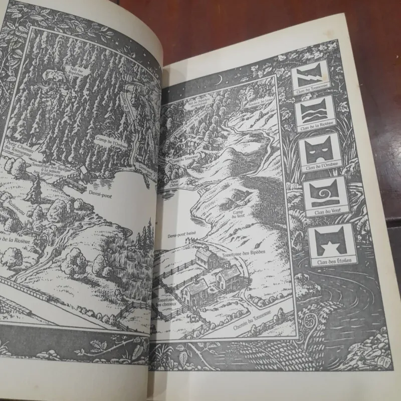 Erin Hunter - LE POUVOUR DES ÉTOULES LA GUERRE DES CLANS, Cycle III - LivreVI Solei levant 798002