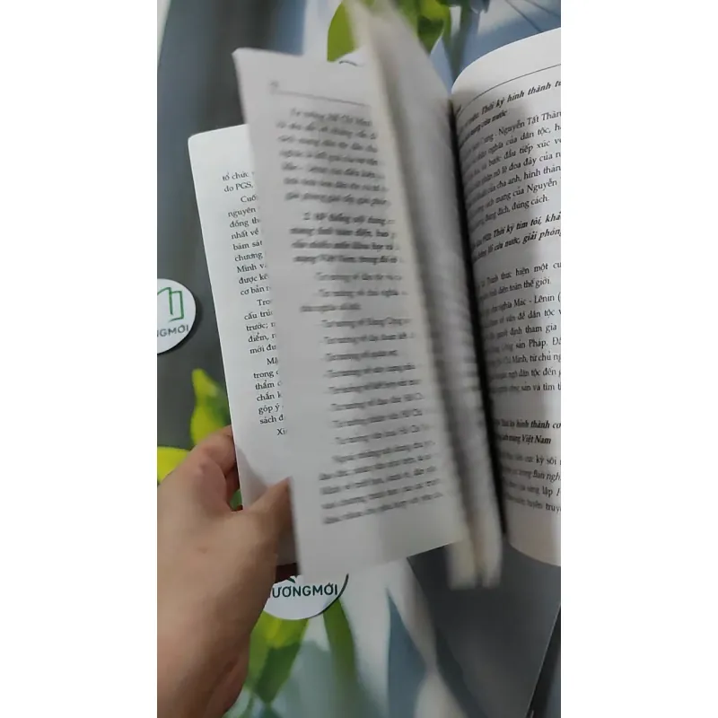 Hỏi & Đáp Tư Tưởng Hồ Chí Minh - PGS, TS Hoàng Trang 928607