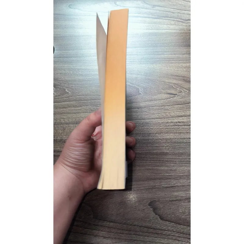 So Much Life Left Over by Louis de Bernières (preloved book) 723206