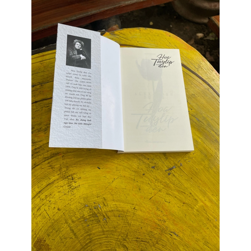 Combo Trà hoa nữ- Hoa Tuylip đen- Alexandre Dumas 476429