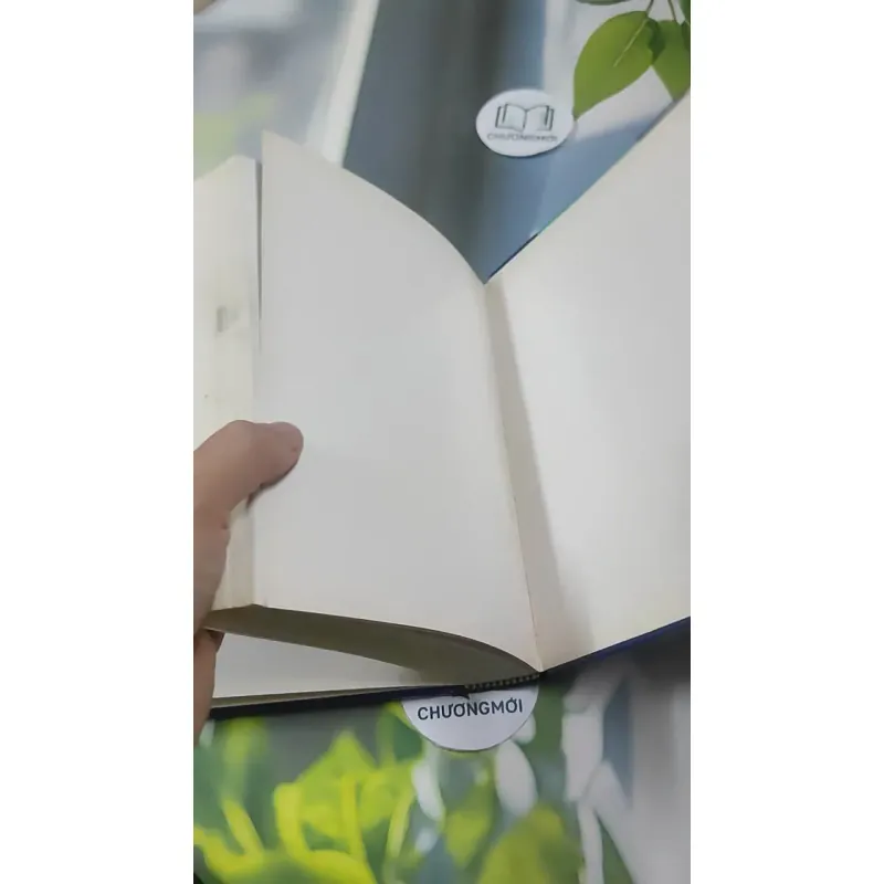 Từ Điển Chính Tả Tiếng Việt Phổ Thông - Nguyễn Văn Khang 727389