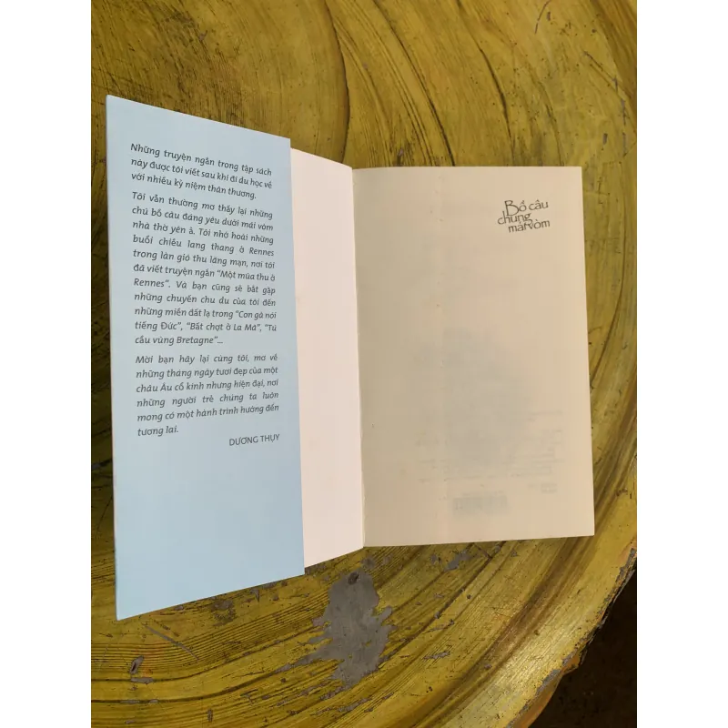 BỒ CÂU CHUNG MÁI VÒM - DƯƠNG THUỴ 745823