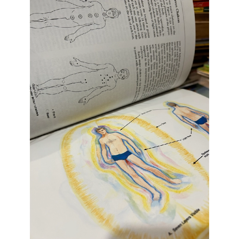 Hands Of Light : A Guide to Healing Through the Human Energy Field - Barbara Ann Brennan 450217