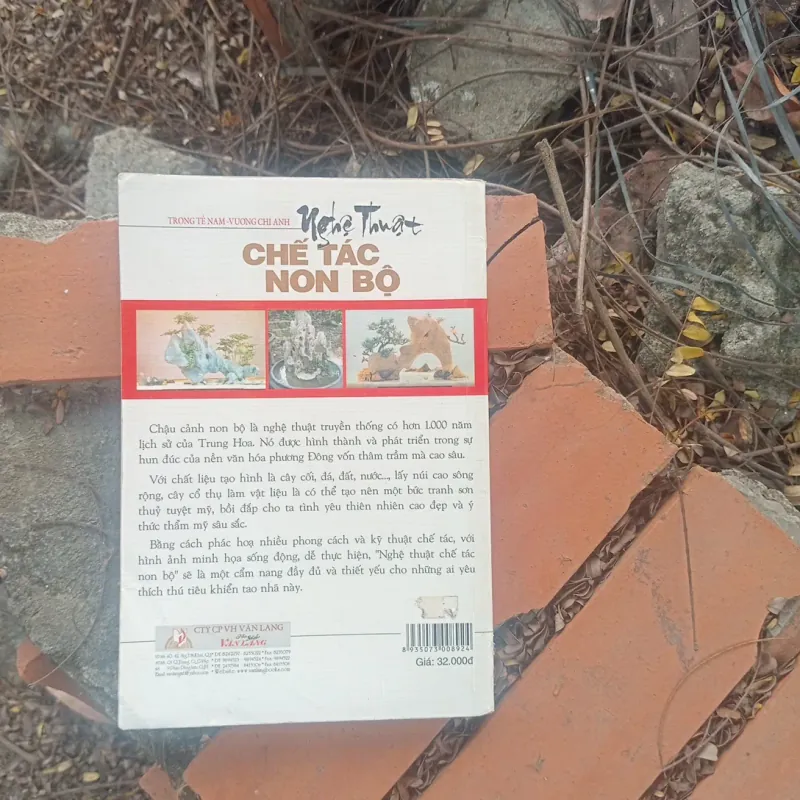 Nghệ thuật chế tác non bộ 1010161