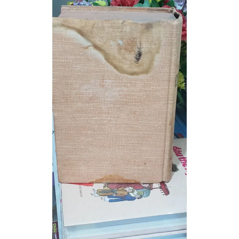 Sách Nouvau Petit Larousse Illustre - Bìa cứng, hình ảnh in nổi bật 708718