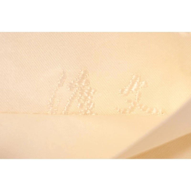 Đai túi - Hàng hiệu Authentic 874948