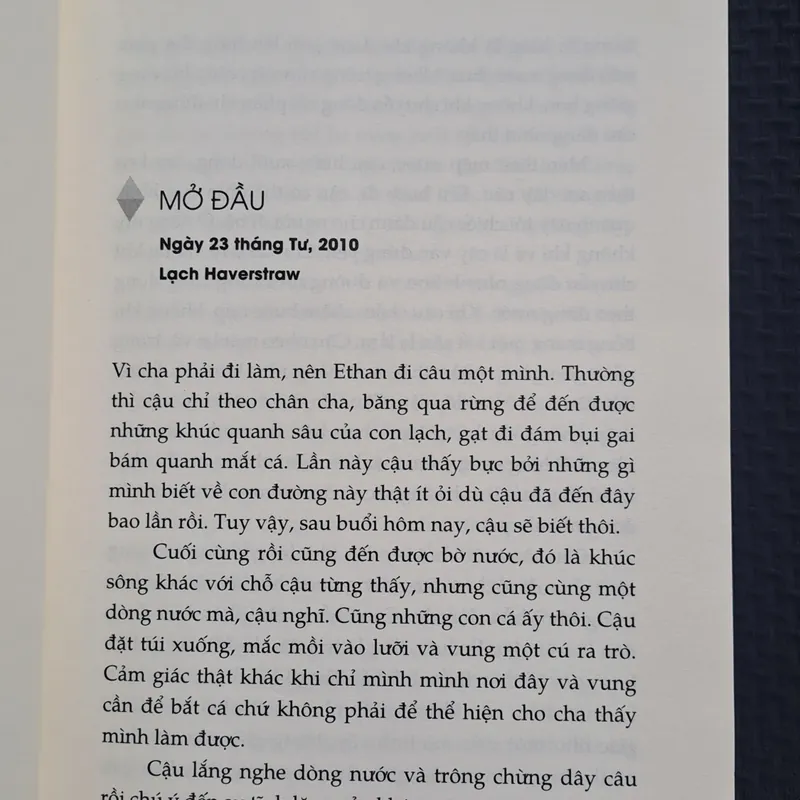 Ai Biết Đâu Ngày Mai - Ann Brashares 308741