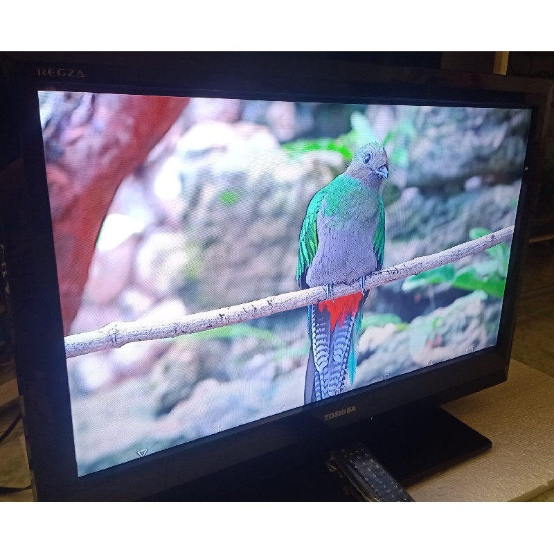 [Tivi Sony 32" Full Phụ Kiện - Thanh lý] 4646