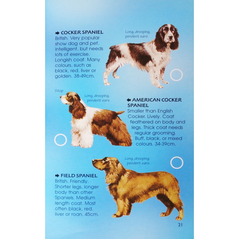 Usborne Spotter's Guides: Dogs 183942