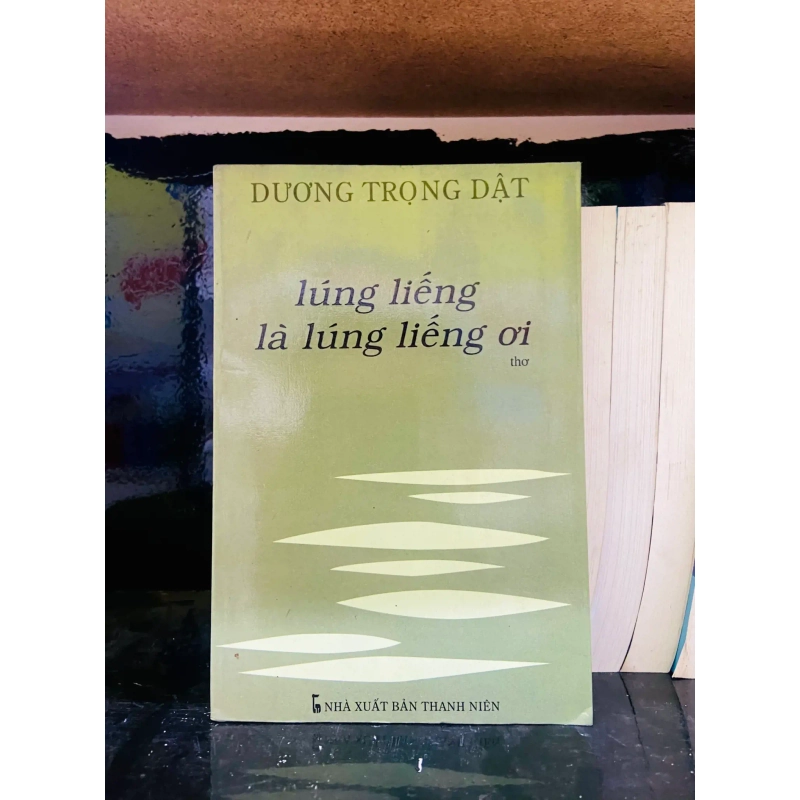 (Sách cũ SCGR) Lúng liếng là lúng liếng ơi - Dương Trọng Đạt - Văn học VAVOA1T1-21 Blogmeo090426 1015611