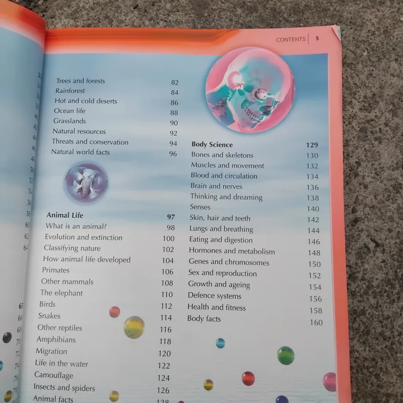 The Kingfisher enclopedia of everything  969956