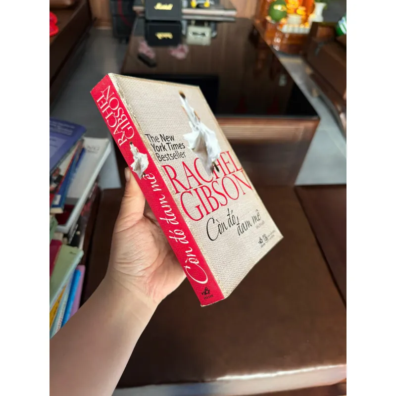 Còn Đó Đam Mê – Rachel Gibson | Tiểu Thuyết Tình Cảm Bestseller 984954