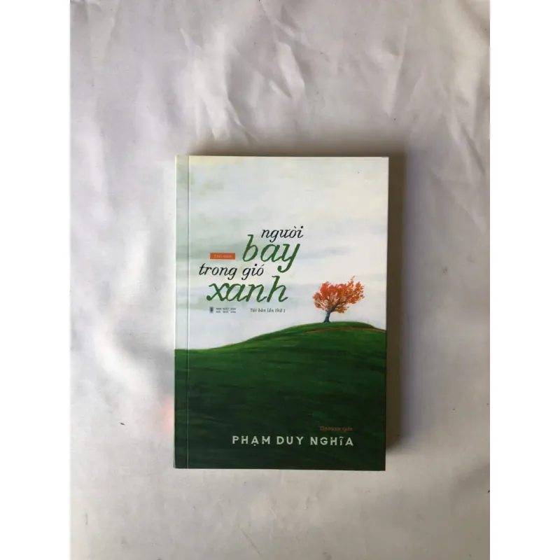 Người Bay Trong Gió Xanh - Phạm Duy Nghĩa 976135