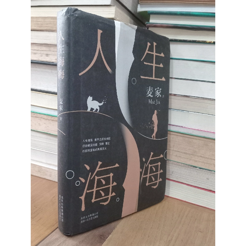 Sách tiếng Trung 13 728149