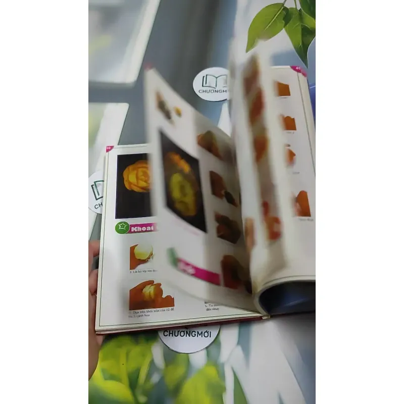 Nghệ Thuật Trang Trí Rau Củ Quả - Quỳnh Hương 727306