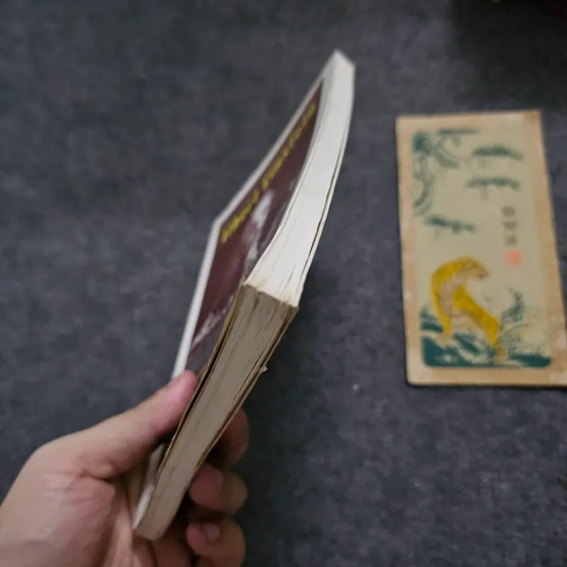 Albert Einstein mặt nhân bản  747362