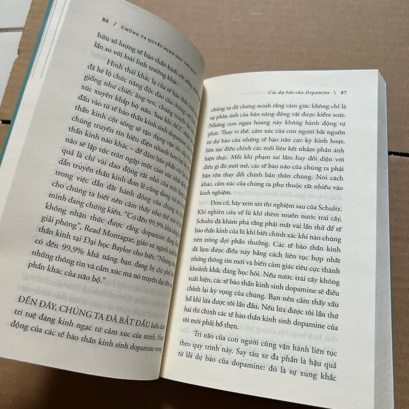 Chúng ta quyết định như thế nào 1039865