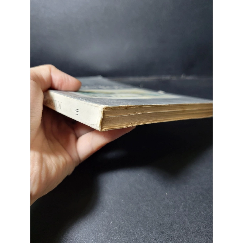 Hội An quê tôi mới 70% ố vàng bong gáy nhẹ 1995 HCM1001 Minh Hương VĂN HỌC 918952