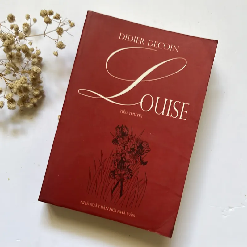 Bán sách cũ – Louise – Didier Decoin 564207