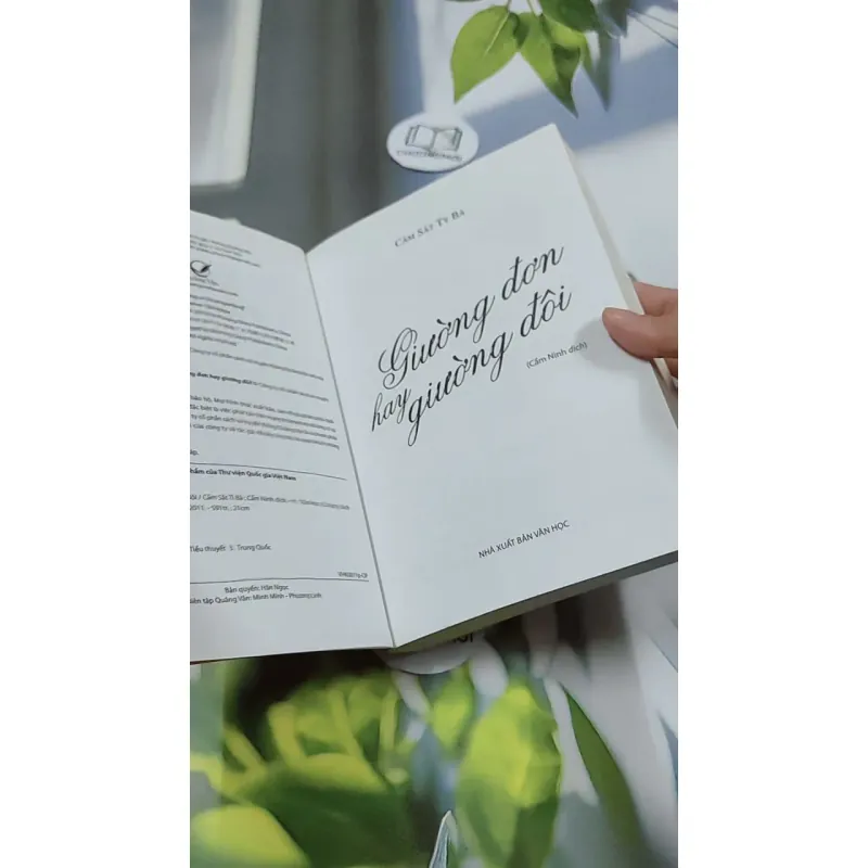 Giường Đơn Hay Giường Đôi - Cầm Sắt Tỳ Bà 744730