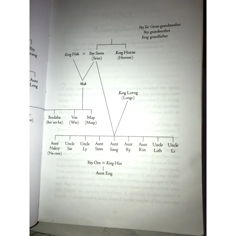 When broken glass floats: growing up under the Khmer rouge- Chanrithy Him 1002946